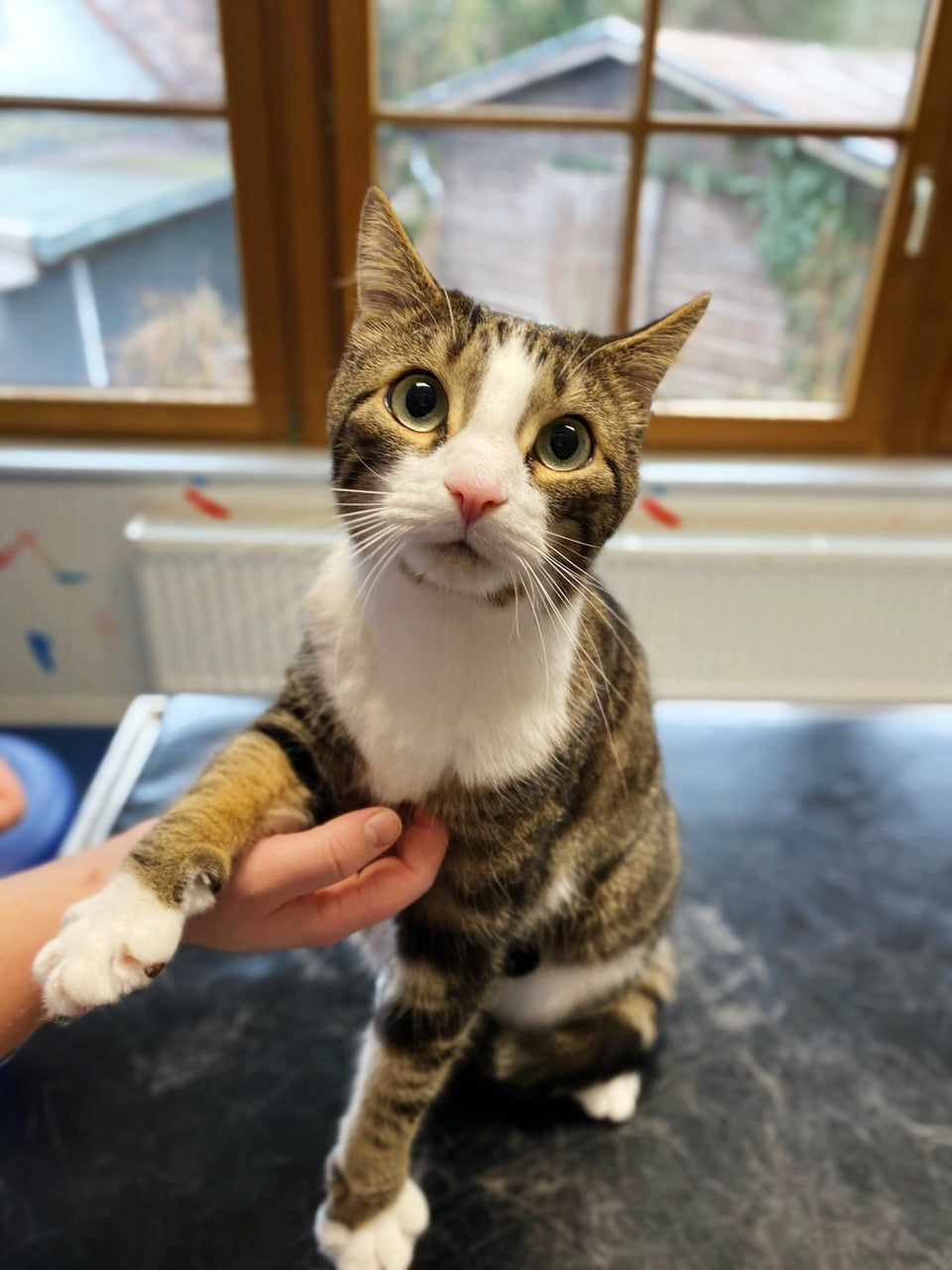 Vom 04.03. bis 13.03.26 können wir aus Kapazitätsgründen nur unsere eigenen Patienten behandeln