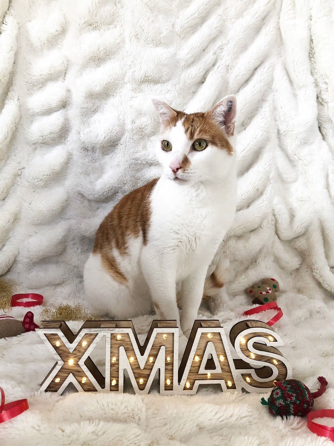 Weihnachten und Silvester 2025